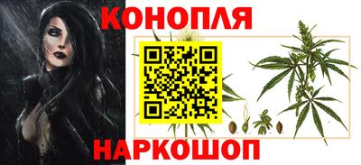 PSILOCYBIN Нальчик