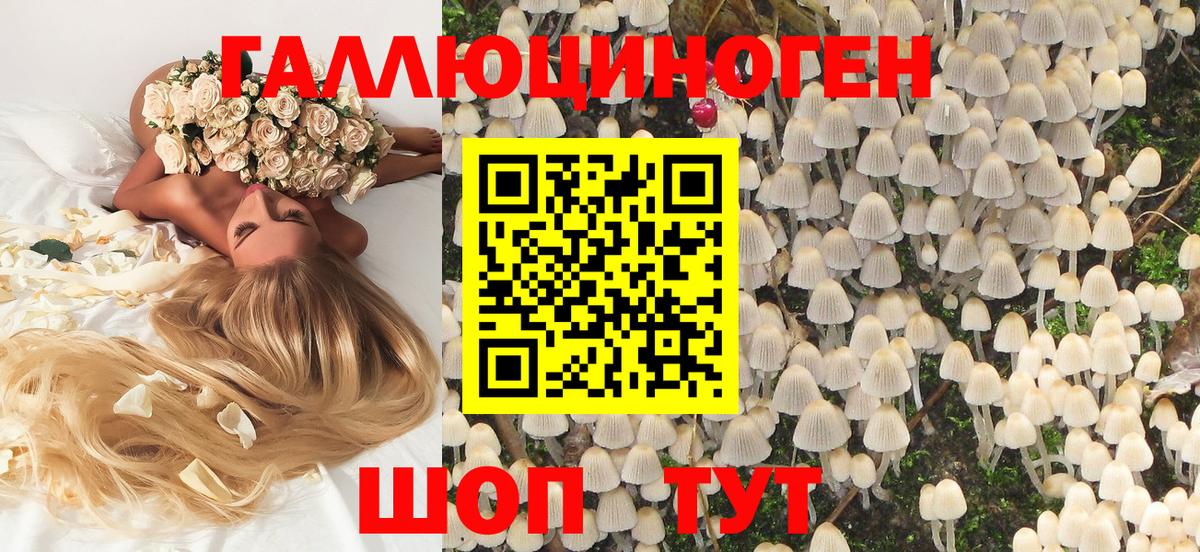 как найти наркотики  Вход с VPN  Сочи  Галлюциногенные грибы Psilocybe  Псилоцибиновые грибы Psilocybine cubensis 