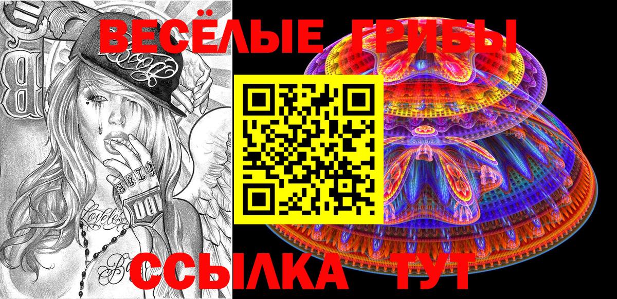 Псилоцибиновые грибы GOLDEN TEACHER Сочи